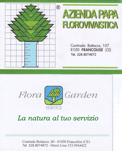 Papa Florovivaistica